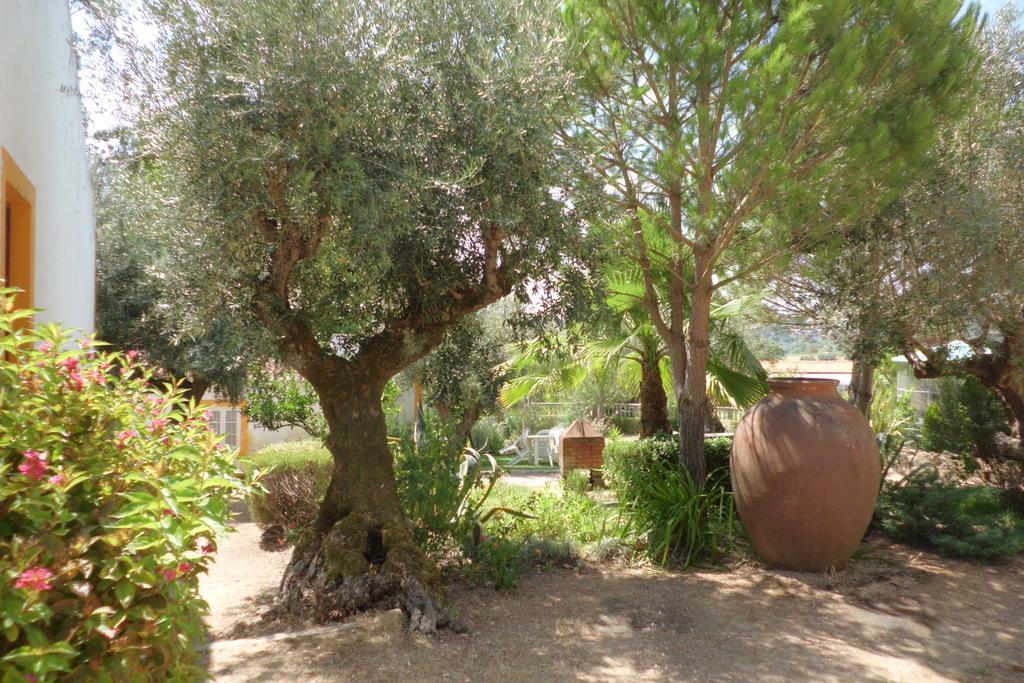 Quinta Do Pinhal Vakantieboerderij *